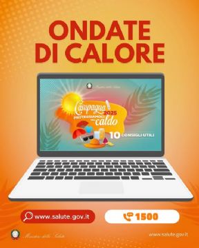Sfoglia la galleria