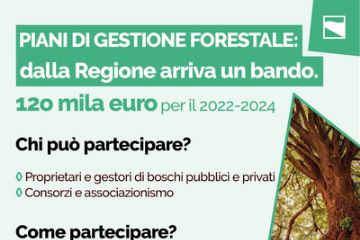 Piano di gestione forestale: contributi dalla Regione per il triennio 2022-2024
