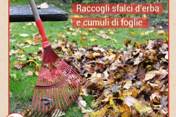 Raccogli sfalci d'erba e cumuli di foglie