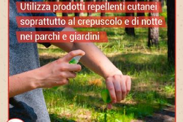 Utilizza prodotti repellenti cutanei soprattutto al crepuscolo e di notte nei parchi e giardini
